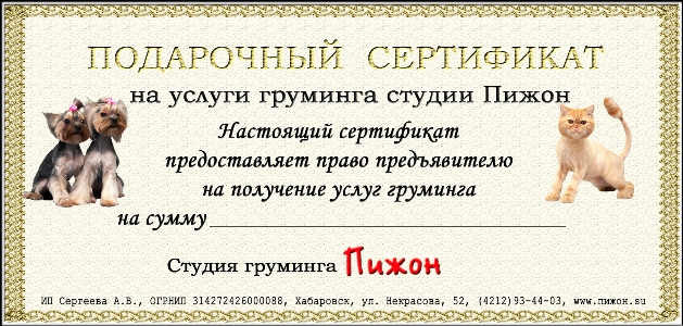 подарочный сертификат на стрижку кошки или собаки